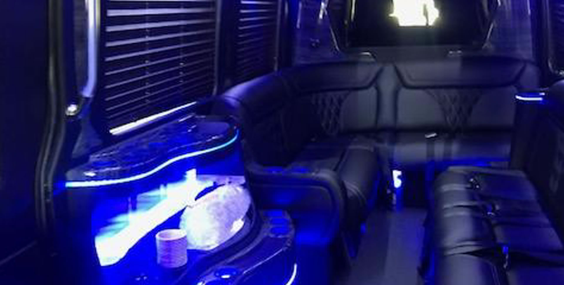 12 Passenger Mercedes Benz Limo Bus